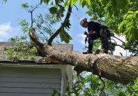 Tree Removal Compliance Officer Jobs