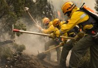 Firefighting Gear: A Must-Have for Every Fire Safety Measure