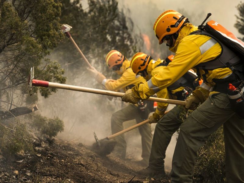 Firefighting Gear: A Must-Have for Every Fire Safety Measure