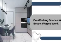 Co-Working Spaces: A Smart Way to Work
