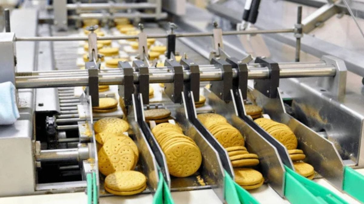 An Easy Guide to Food Processing Machines